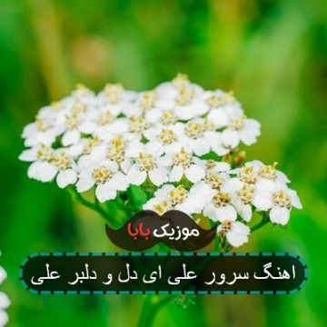 اهنگ سرور علی ای دل و دلبر علی