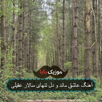 آهنگ عاشق ماند و دل تنهای سالار عقیلی آهنگ عاشق ماند و دل تنهای سالار عقیلی