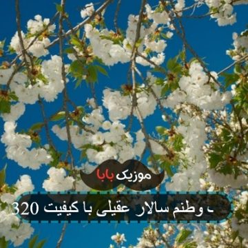 آهنگ وطنم سالار عقیلی با کیفیت 320