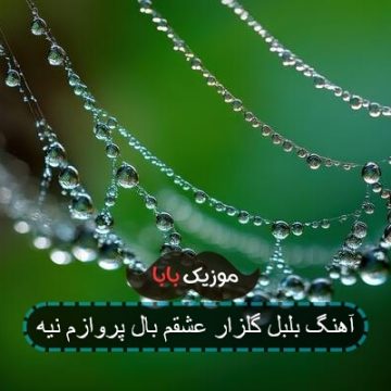 آهنگ بلبل گلزار عشقم بال پروازم نیه