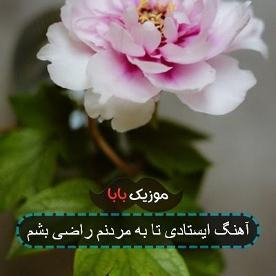 آهنگ ایستادی تا به مردنم راضی بشم