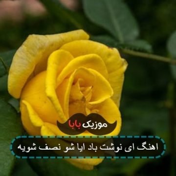 اهنگ ای نوشت باد ایا شو نصف شویه اهنگ ای نوشت باد ایا شو نصف شویه
