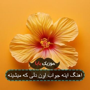 اهنگ پیشواز اینه جواب اون دلی که میشینه