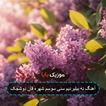 آهنگ نه بیلیردیم سنی سوسم شهره قان دوشجک