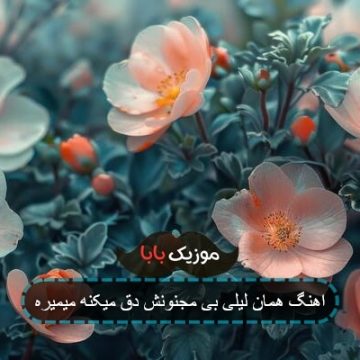 اهنگ همان لیلی بی مجنونش دق میکنه میمیره اهنگ همان لیلی بی مجنونش دق میکنه میمیره