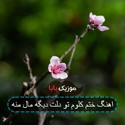 اهنگ ختم کلوم تو دلت دیگه مال منه