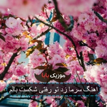 اهنگ سرما زد تو رفتی شکست بالم