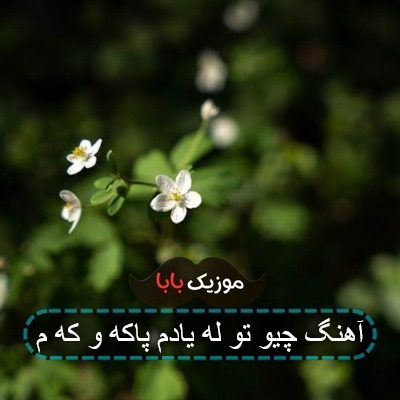 آهنگ چیو تو له یادم پاکه و که م