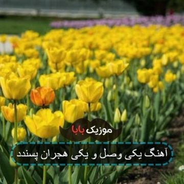 آهنگ یکی وصل و یکی هجران پسندد آهنگ یکی وصل و یکی هجران پسندد