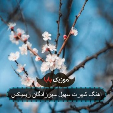 اهنگ شهرت سهیل مهرزادگان ریمیکس