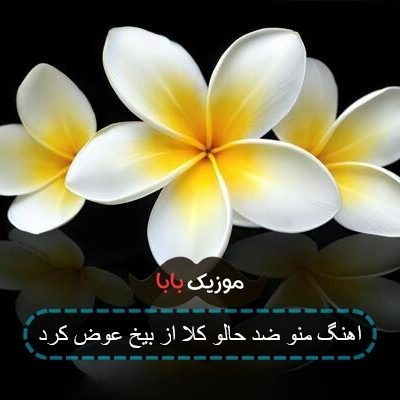 اهنگ منو ضد حالو کلا از بیخ عوض کرد اهنگ منو ضد حالو کلا از بیخ عوض کرد