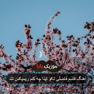 آهنگ قاسم فاضلی تکو تینا چه کنم ریمیکس تند