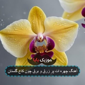 آهنگ چهره ات پر زرق و برق چون کاخ گلستان آهنگ چهره ات پر زرق و برق چون کاخ گلستان