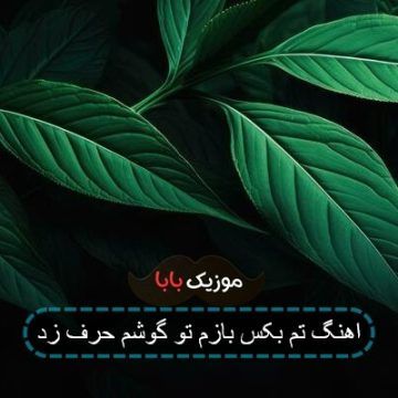 اهنگ تم بکس بازم تو گوشم حرف زد