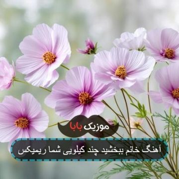 آهنگ خانم ببخشید چند کیلویی شما ریمیکس