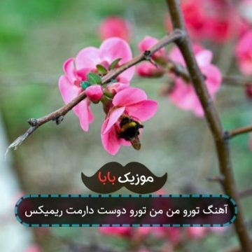 آهنگ تورو من من تورو دوست دارمت ریمیکس آهنگ تورو من من تورو دوست دارمت ریمیکس