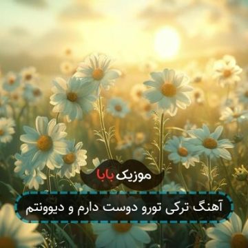 آهنگ ترکی تورو دوست دارم و دیوونتم