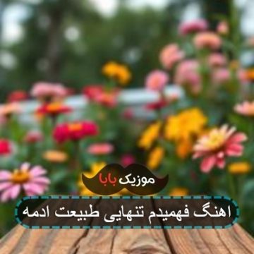 اهنگ فهمیدم تنهایی طبیعت ادمه