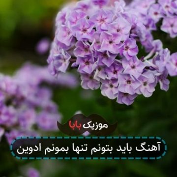 آهنگ باید بتونم تنها بمونم ادوین آهنگ باید بتونم تنها بمونم ادوین