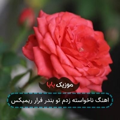 اهنگ ناخواسته زدم تو بندر فرار ریمیکس