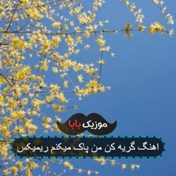 اهنگ گریه کن من پاک میکنم ریمیکس