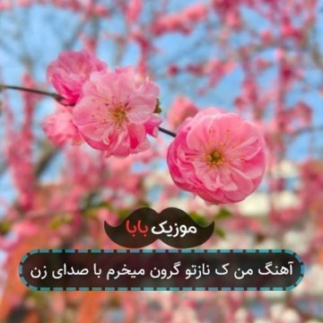 آهنگ من ک نازتو گرون میخرم با صدای زن