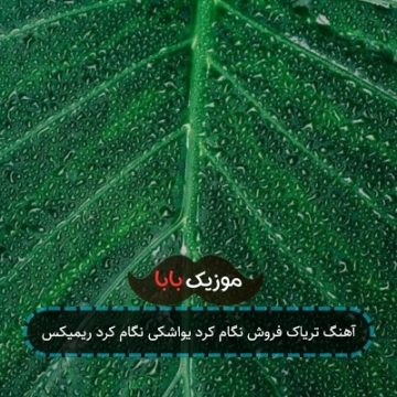 آهنگ تریاک فروش نگام کرد یواشکی نگام کرد ریمیکس