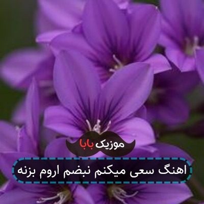اهنگ سعی میکنم نبضم اروم بزنه