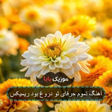 آهنگ تموم حرفای تو دروغ بود ریمیکس
