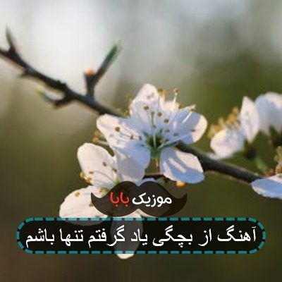 آهنگ از بچگی یاد گرفتم تنها باشم