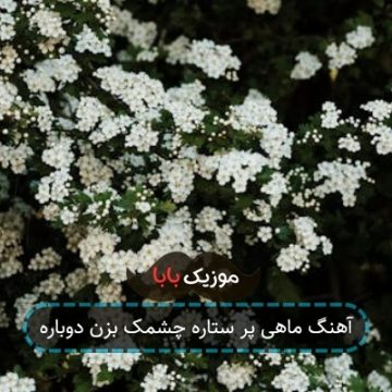 آهنگ ماهی پر ستاره چشمک بزن دوباره