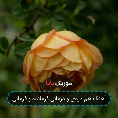 آهنگ هم دردی و درمانی فرمانده و فرمانی