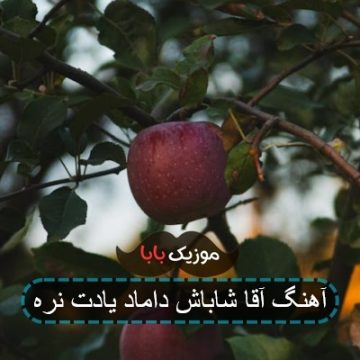 آهنگ آقا شاباش داماد یادت نره