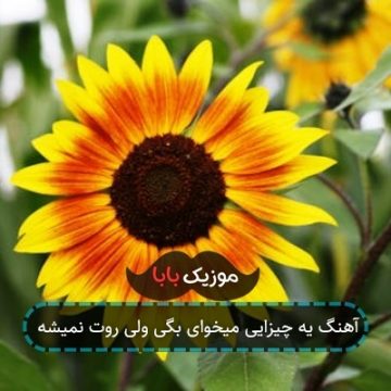 آهنگ یه چیزایی میخوای بگی ولی روت نمیشه