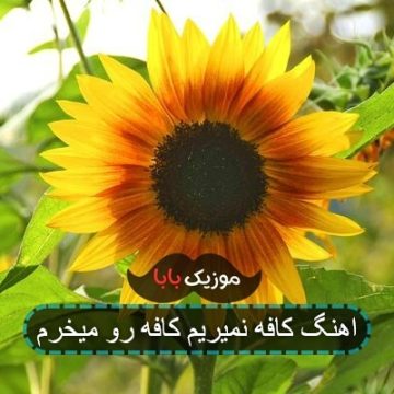 اهنگ کافه نمیریم کافه رو میخرم