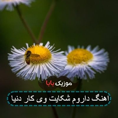 اهنگ داروم شکایت وی کار دنیا اهنگ داروم شکایت وی کار دنیا
