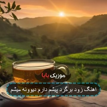 اهنگ زود برگرد پیشم دارم دیوونه میشم