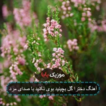 اهنگ دخترا گل بچینید بوی نکنید