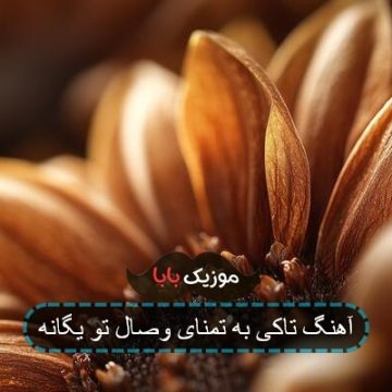 آهنگ پیشواز تاکی به تمنای وصال تو یگانه آهنگ پیشواز تاکی به تمنای وصال تو یگانه