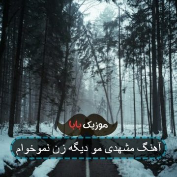 آهنگ مشهدی مو دیگه زن نموخوام