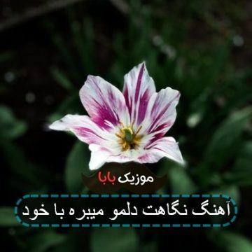 آهنگ نگاهت دلمو میبره با خود آهنگ نگاهت دلمو میبره با خود