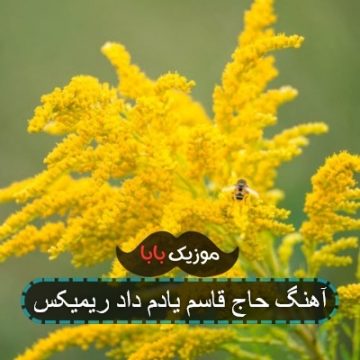 آهنگ حاج قاسم یادم داد ریمیکس آهنگ حاج قاسم یادم داد ریمیکس