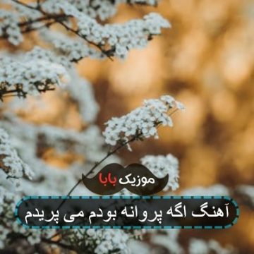 آهنگ اگه پروانه بودم می پریدم