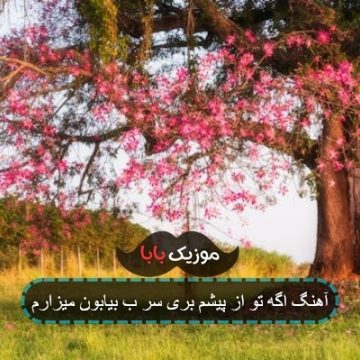 آهنگ اگه تو از پیشم بری سر ب بیابون میزارم