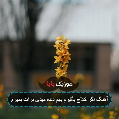 آهنگ اگر کلاچ بگیرم بهم دنده میدی برات بمیرم آهنگ اگر کلاچ بگیرم بهم دنده میدی برات بمیرم