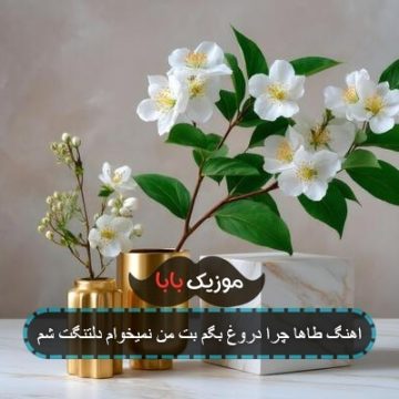 اهنگ طاها چرا دروغ بگم بت من نمیخوام دلتنگت شم
