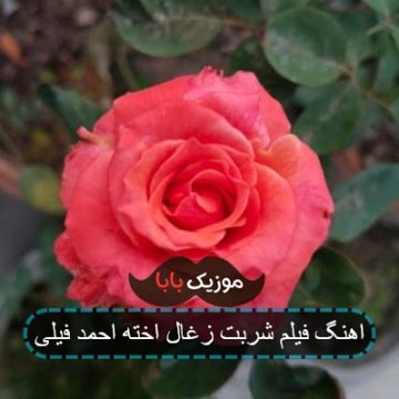 اهنگ شربت زغال اخته ترانه لیلا خواننده احمد فیلی
