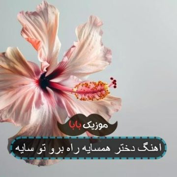 اهنگ دختر همسایه راه برو تو سایه
