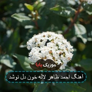 آهنگ احمد ظاهر من رانده ز میخانه ام