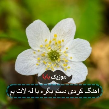 اهنگ کردی دستم بگره با له لات بم